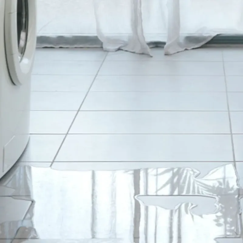 Appliance Leak Cleanup in Holly Hill, FL