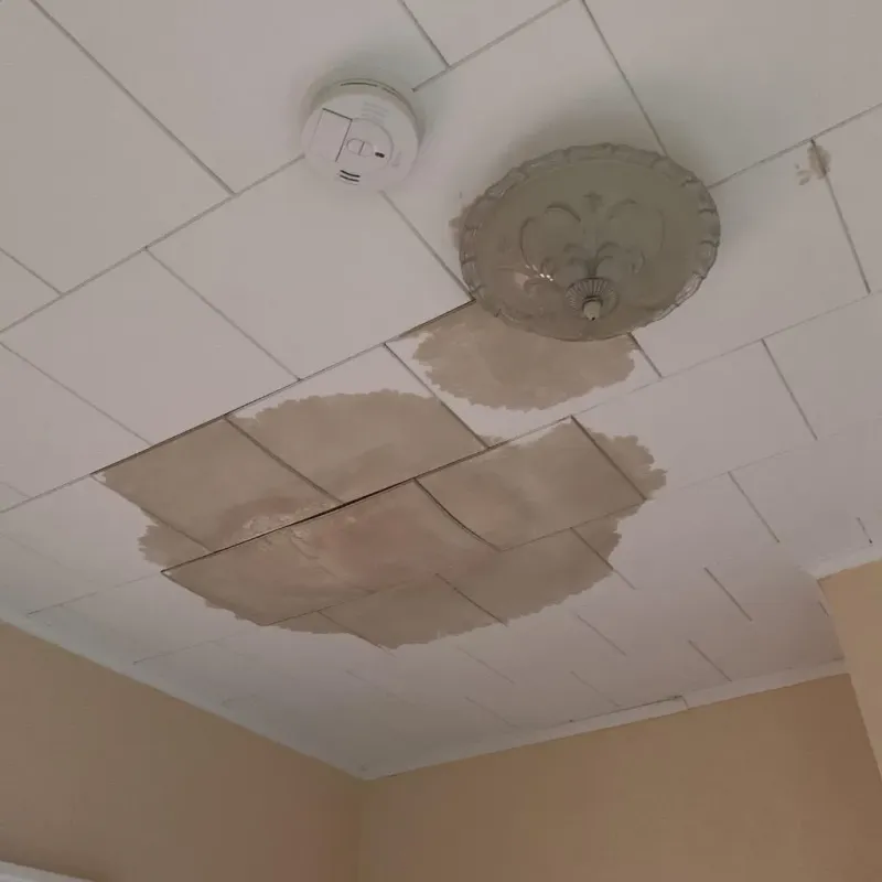Ceiling Water Damage Repair in Holly Hill, FL