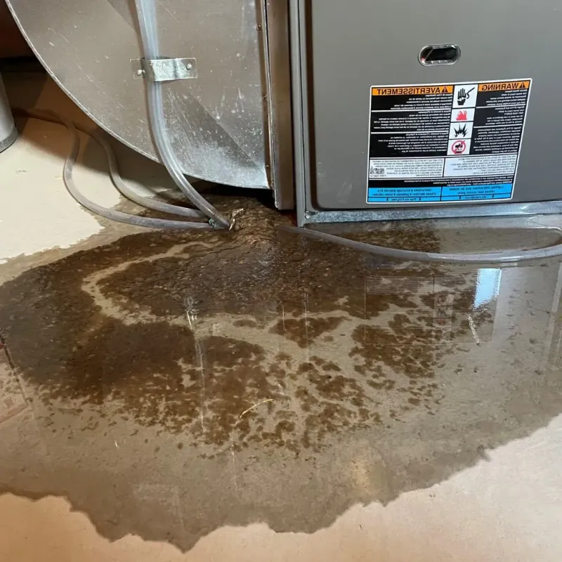 Pipe Burst and Leak Restoration in Holly Hill, FL